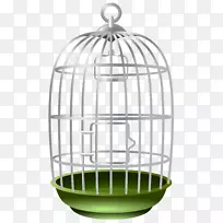 ���İ�����-������