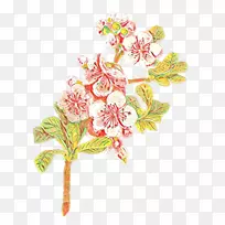 剪贴画开花png图片图像-空若网 剪贴画开花png图片图像-空若网