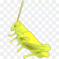 »È³æ¼ôÌù»À¥³æ»È³æ-¿ÕÈôÍø »È³æ¼ôÌù»À¥³æ»È³æ-¿ÕÈôÍø