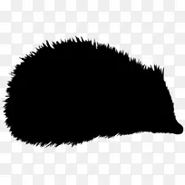 ���ʣ���Ӱ�廭��ˮ�ʻ�-������