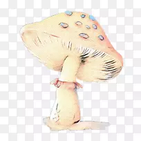 С����-������