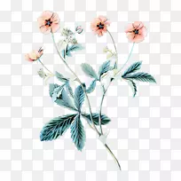 婚礼邀请函插花艺术花瓣-空若网 婚礼邀请函插花艺术花瓣-空若网