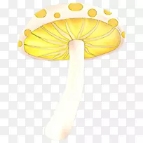 产品设计主体珠宝字体-空若网 产品设计主体珠宝字体-空若网