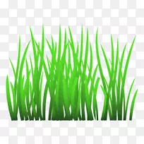 ������ͼ��pngͼƬ��ͼ-������