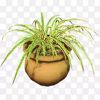 Ҭ�ӻ������������ֲ���-������