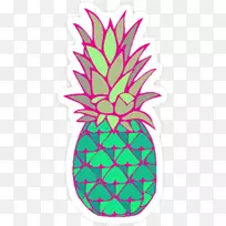 红菠萝贴花艺术.菠萝冠-空若网 红菠萝贴花艺术.菠萝冠-空若网