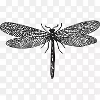 ������������״Ŀm����������-���ѻ��Ͳ����¼���������-������