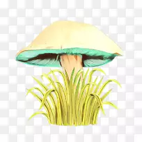 产品设计橙色S.A.-空若网 产品设计橙色S.A.-空若网