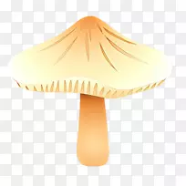 产品设计橙色S.A.-空若网 产品设计橙色S.A.-空若网