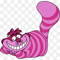 ����˿���ɾ��з���ñ������˿���ɾ���ð�����è����-����˿���ɾ�-������