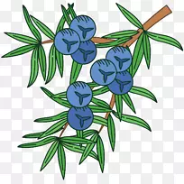 图形剪贴画插图-空若网 图形剪贴画插图-空若网