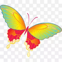 ����ͼ�μ�����������������-��������PNG����������-������