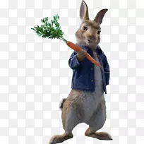 索尼图片动画电影图片0-彼得棉尾巴尼茨-空若网 索尼图片动画电影图片0-彼得棉尾巴尼茨-空若网