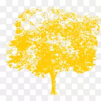 ����-������