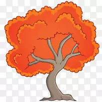 剪贴画开花植物乔木橙S.A.植物-空若网 剪贴画开花植物乔木橙S.A.植物-空若网