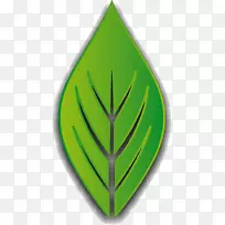 Ҷ������������-������