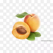 �ӹ��������񵰸�ʳƷ������-��-������