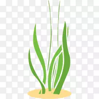 草夹艺术植物茎商品设计-空若网 草夹艺术植物茎商品设计-空若网