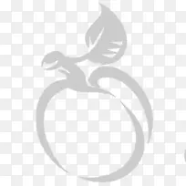 燕窝杏-空若网 燕窝杏-空若网