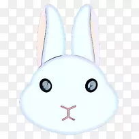 家兔复活节兔须鼻子-空若网 家兔复活节兔须鼻子-空若网