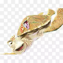 爬行动物珠宝-空若网 爬行动物珠宝-空若网