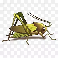 òÆò죬ó¬ó°£¬¸ñÁÐÀû´ïtÐô-¿ÕÈôÍø òÆò죬ó¬ó°£¬¸ñÁÐÀû´ïtÐô-¿ÕÈôÍø