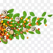 ³¬¼¶Ê³Æ·Êß²ËÌìȻʳƷ.½¡¿µÊ³Æ·-¿ÕÈôÍø ³¬¼¶Ê³Æ·Êß²ËÌìȻʳƷ.½¡¿µÊ³Æ·-¿ÕÈôÍø