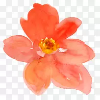 Ë®²Ê»»¨»¼ÐÒÕÊõ-ÌÒ»¨-¿ÕÈôÍø Ë®²Ê»»¨»¼ÐÒÕÊõ-ÌÒ»¨-¿ÕÈôÍø