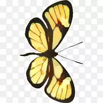 ������������-������