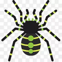 蜘蛛图形png图片昆虫图像-空若网 蜘蛛图形png图片昆虫图像-空若网