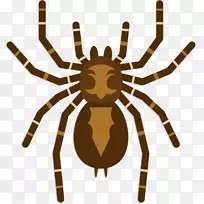 剪贴画蛛形纲昆虫产品图案-空若网 剪贴画蛛形纲昆虫产品图案-空若网