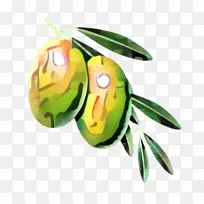 昆虫传粉器膜果-空若网 昆虫传粉器膜果-空若网