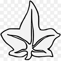 插画花卉可伸缩图形png图片.澳大利亚png透明绘图-空若网 插画花卉可伸缩图形png图片.澳大利亚png透明绘图-空若网