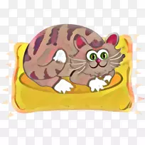 胡须,小猫,猫图,鼻子-空若网 胡须,小猫,猫图,鼻子-空若网