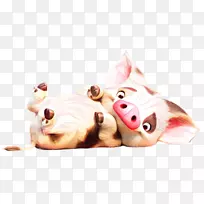 猪毛绒动物和可爱的鼻子玩具-空若网 猪毛绒动物和可爱的鼻子玩具-空若网