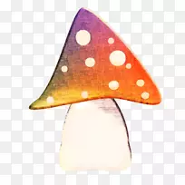 橙色S.A.-空若网 橙色S.A.-空若网