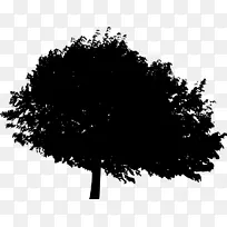 图片桌面壁纸剪影png图片照片-空若网 图片桌面壁纸剪影png图片照片-空若网