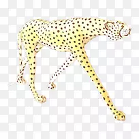 t����װ�Ϳ�Ůװ����������-728757-S17����-������