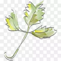 开花植物茎叶植物-空若网 开花植物茎叶植物-空若网