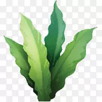 春绿叶植物茎草本植物-空若网 春绿叶植物茎草本植物-空若网