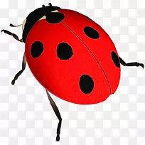 剪贴画女鸟-空若网 剪贴画女鸟-空若网