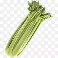 �۲�Ҷ�߲���ʳ���۲�-������