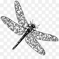 昆虫圈闭帆布着色书蜻蜓-蜻蜓画PNG蜻蜓-空若网 昆虫圈闭帆布着色书蜻蜓-蜻蜓画PNG蜻蜓-空若网