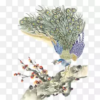 ��ˮ�ʻ������ֽ-������