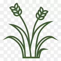 草剪贴画png图片图形草坪剪影复活节草png-空若网 草剪贴画png图片图形草坪剪影复活节草png-空若网