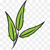 剪裁艺术叶植物茎系草-空若网 剪裁艺术叶植物茎系草-空若网