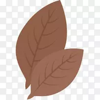 叶卡通-空若网 叶卡通-空若网