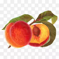 桃子剪贴画-桃子-空若网 桃子剪贴画-桃子-空若网