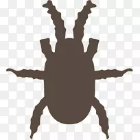 蟑螂,昆虫,蚊虫,蝴蝶-空若网 蟑螂,昆虫,蚊虫,蝴蝶-空若网