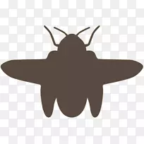 昆虫蝴蝶m/0d剪贴画传粉器-空若网 昆虫蝴蝶m/0d剪贴画传粉器-空若网